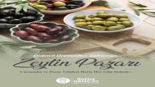 Zeytin üreticileri için satış alanı oluşturulacak