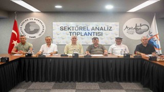 Zeytinde rekolte beklentisi yüzde 40 arttı