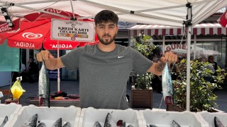Zonguldakta palamut bereketi tezgahları şenlendirdi: 3 tanesi 200 liradan alıcı buluyor