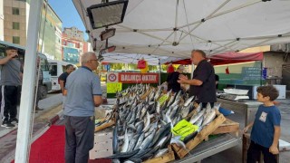 Zonguldakta palamut sezonu 100 liradan başladı