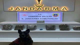 Zorkun Yaylası’nda Uyuşturucu Operasyonu: 3 Kişi Tutuklandı