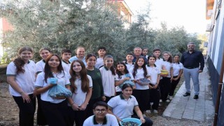 Adana'da öğrenciler 1. sınıfta diktikleri zeytinlerin 8. sınıfta hasadını yaptılar