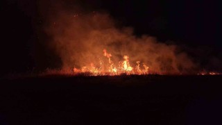 Adıyaman'da korkutan anız yangını
