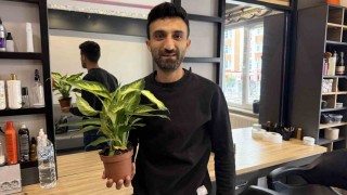 Ağlayan çiçek bu kez ağlattı