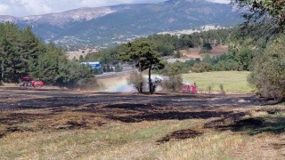 Anız yangını ormana sıçradı, köylülerin erken müdahalesi facianın önüne geçti