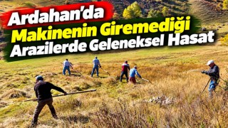 Ardahan’da Makinenin Giremediği Arazilerde Geleneksel Hasat
