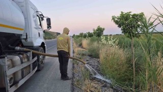 Batman'da Yeşil Kuşak Projesi kapsamında meyve fidanlarına özenli bakım