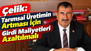 Çelik: Tarımsal Üretimin Artması İçin Girdi Maliyetleri Azaltılmalı