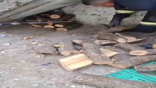 Diyarbakır'da odunluğa giren yılan itfaiyeyi harekete geçirdi