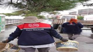 Düzce'de kadın ili değiyor