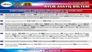 Elazığ'da bir ayda 165 kişi tutuklandı
