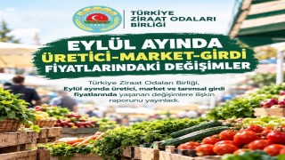 Eylül ayında üretici ve market arasındaki fiyat farkı en fazla limonda görüldü