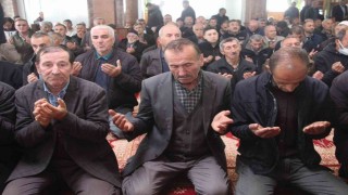 Fındık üreticilerinden 'güneş duası'