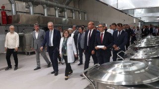 Gaziantep Büyükşehir Belediyesinden Uygun Fiyatlı Et Projesi