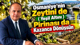 Güloğlu: Osmaniye’nin Zeytini (Yeşil Altını) De, Pirinası Da Bu Şehre Kazandırsın