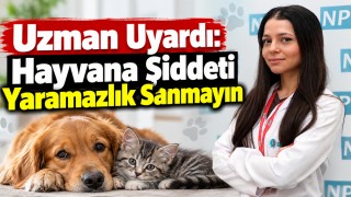 Hayvana Şiddeti Yaramazlık Sanmayın