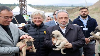 Hayvanları Koruma Günü, Talas Pati Evi Doğal Yaşam Alanı'nda kutlandı