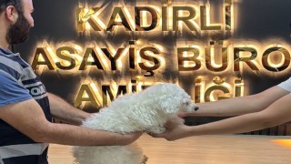 Kadirli’de Çalınan Köpek Bulundu