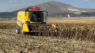 Kütahya’da Ayçiçeği Üretimi Sahada Takip Ediliyor