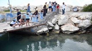 Mersin'de biyolojik çeşitlilik MINKA ile kayıt altına alınıyor