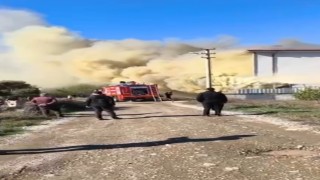Mobilya dükkanındaki yangın paniğe neden oldu