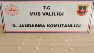 Muş'ta jandarmadan uyuşturucu operasyonları: 19 olaya müdahale edildi