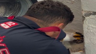 Osmaniye’de Su Giderine Sıkışan Yavru Kedi Kurtarıldı