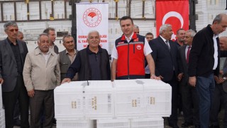 Osmaniye’de Üreticilere Hibeli Zeytin Kasası Dağıtıldı