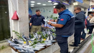 Sinop'ta balık satış yerleri denetlendi