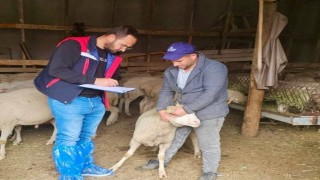 Sürdürülebilir Koyun Projesi çerçevesinde işletme denetimleri sürüyor