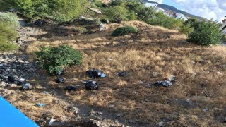 Tarihi Haburman Köprüsü civarına dökülen çöpler tepkiye neden oldu