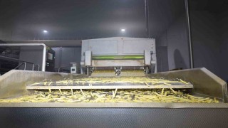 Vali Aktaş patates üretimi tesisini gezdi