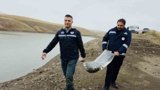 Van'ın su ürünleri sektöründen ekonomiye 25 milyon dolarlık katkı